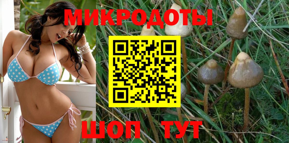 Псилоцибиновые грибы Psilocybe  Вход с VPN  Псилоцибиновые грибы ЛСД  цена наркотик  Снежинск 