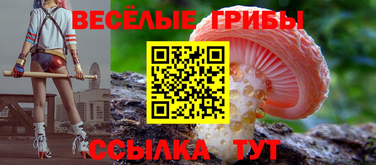 Галлюциногенные грибы прущие грибы Снежинск